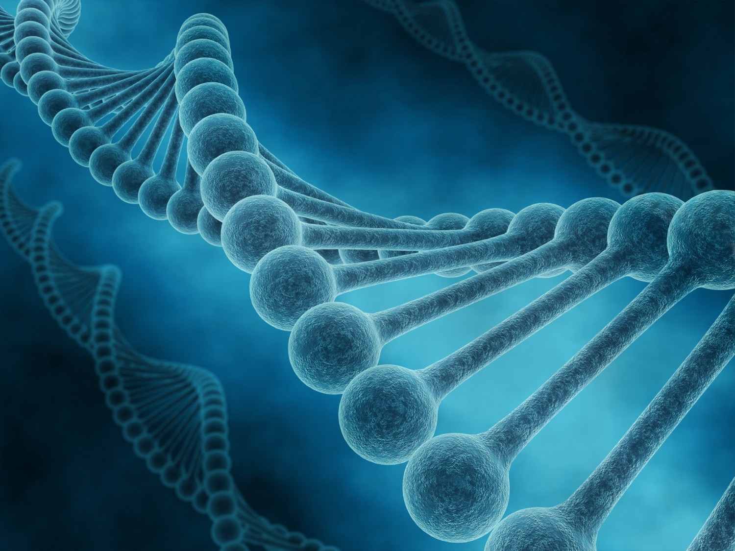 Genética y diagnóstico prenatal
