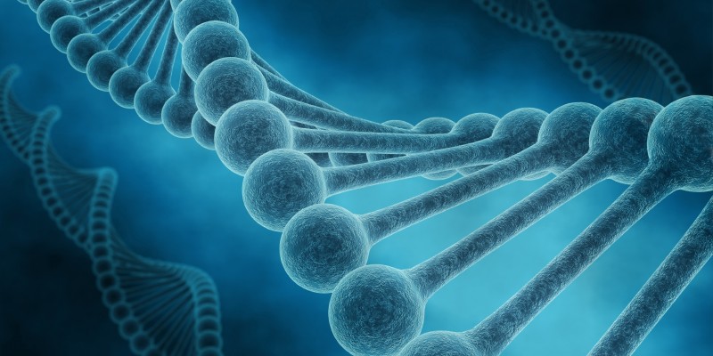 Genética y diagnóstico prenatal