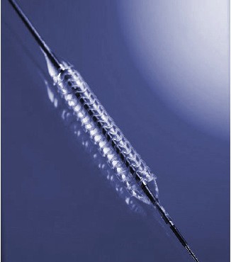 Stent biodegradable